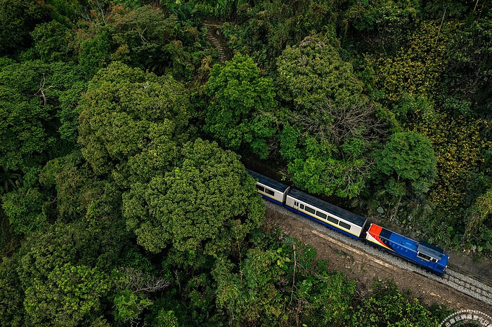 林鐵首輛生態觀光列車──栩悅號開動迎賓，鐵道迷還能一次搭乘6大列車