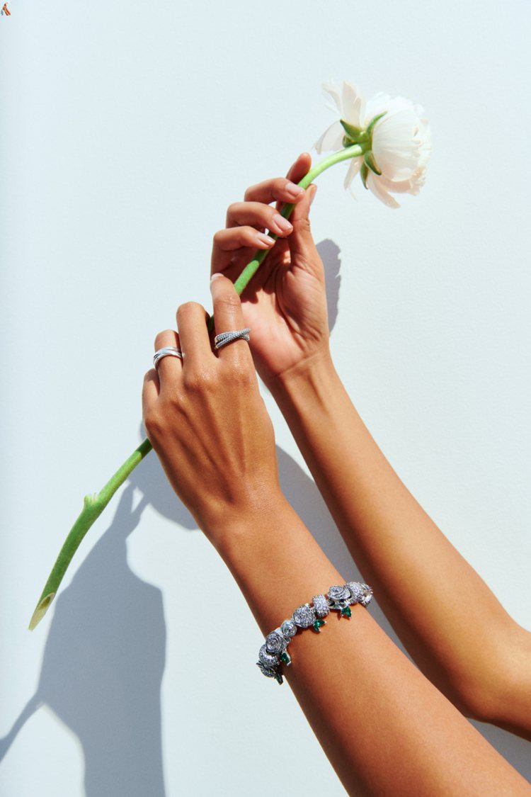 全新Pandora Ｍoments設計靈感源於蘊含豐富象徵的玫瑰，玫瑰不僅是優雅的象徵，美麗花瓣下帶刺的莖，更展現其堅毅精神的美態，如同在溫柔中流露堅毅的母親。圖／PANDORA提供