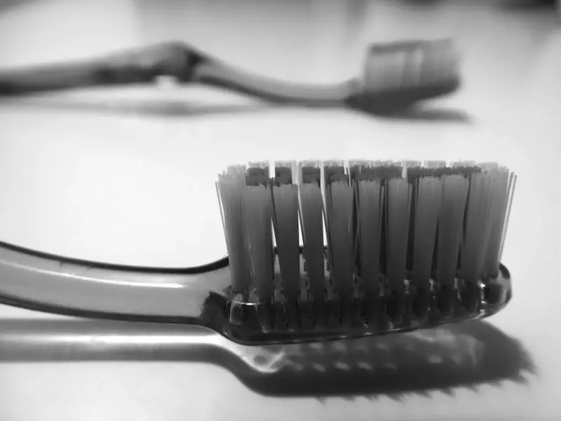 牙刷。 圖／Pixabay
