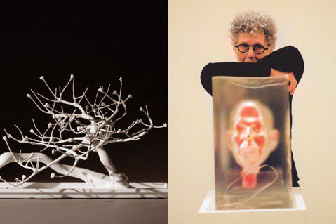 紐約雕塑家羅娜・龐迪克 (Rona Pondick) 橫跨15年創作品個展「羅娜...
