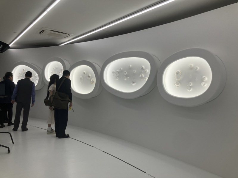 日本东京BA-TSU ART GALLERY的70周年纪念展现场。记者／孙曼摄影