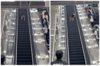 地鐵站驚見哈士奇「獨自逆流爬手扶梯」邊走邊無奈回眸：沒人的路怎那麼難走？