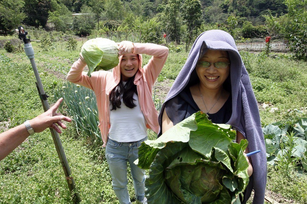 記者隨著校園廚工到自家農地摘菜，學童的菜大多來自這裡。彭宣雅(右)、連佩宇(左)