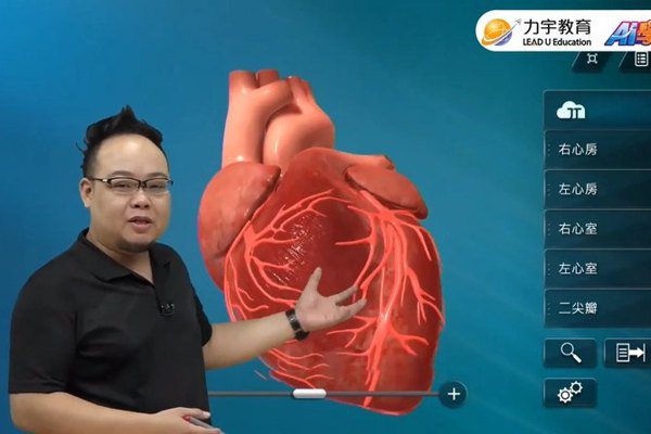 超逼真心臟3D建模 內部構造、血液流向一次搞懂