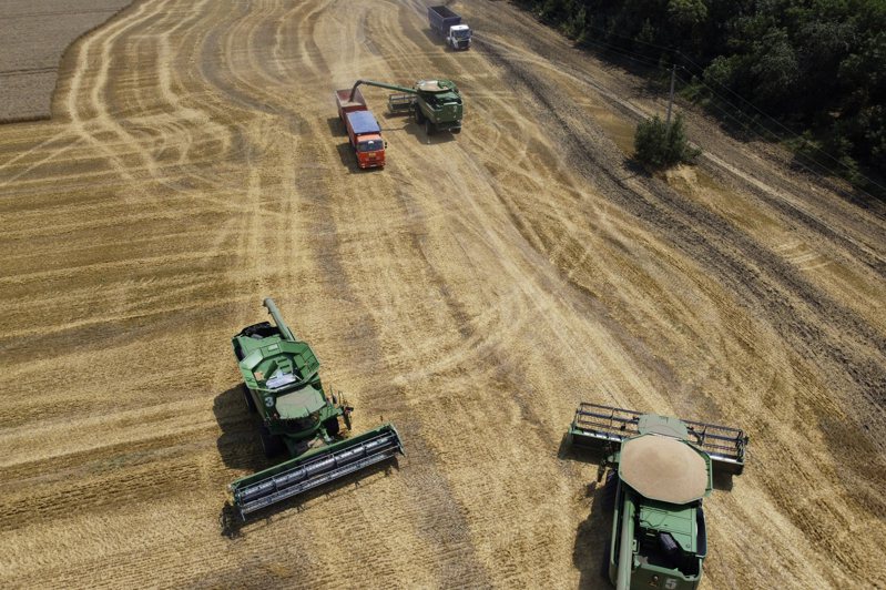 俄烏戰爭衝擊全球糧食供應，圖為俄羅斯農人在麥田收割。美聯社