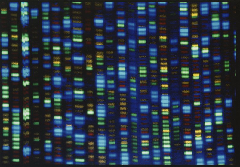 科学家国际团队31日宣布终于完成「人类生命基因组」的完整解码。(美联社)(photo:UDN)