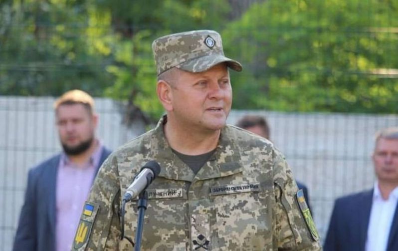 乌军总司令扎卢日内年仅48岁，出身出身军事世家。(取自乌军官网)(photo:UDN)