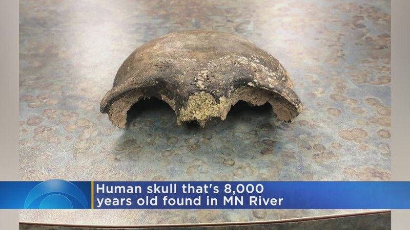 明尼蘇達州泛舟者找到約8000年前人類頭骨。(WCCO電視台畫面)