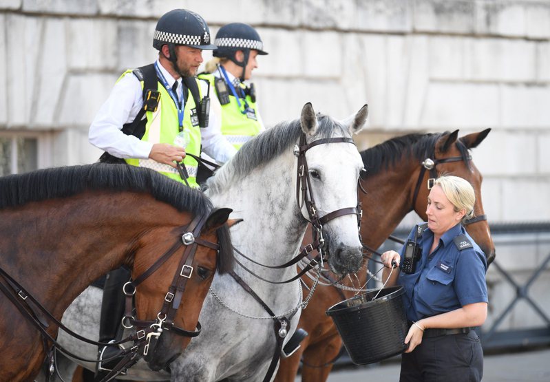 英國出現極熱警告，氣溫超過攝氏40度。圖為一名女警提水桶餵巡邏的馬匹喝水。（歐新社)