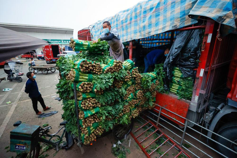 9月2日清晨，商戶在成都農產品中心批發市場準備蔬菜供客戶選購。（新華社）