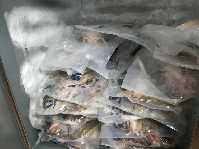 半天妖烤魚使用的魚均是凍魚，採購價在每條人民幣30元左右，中國一些網絡購物平台上也有這樣的凍魚在售。（取材自新京報）