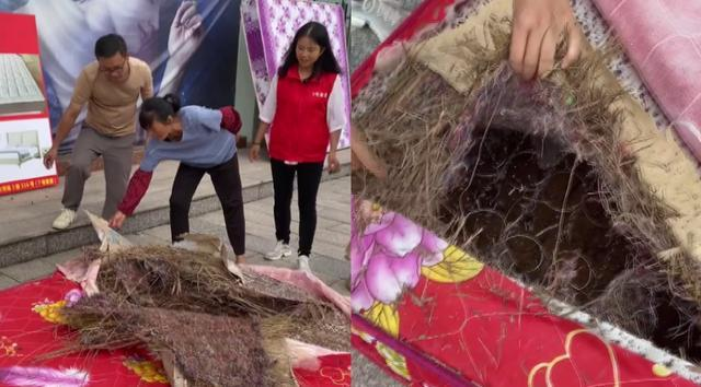 廣東韶關一家具店老闆拆解一張已使用十多年的床墊，驚訝地發現裡面是乾草、黑心棉和肥料袋。(視頻截圖)