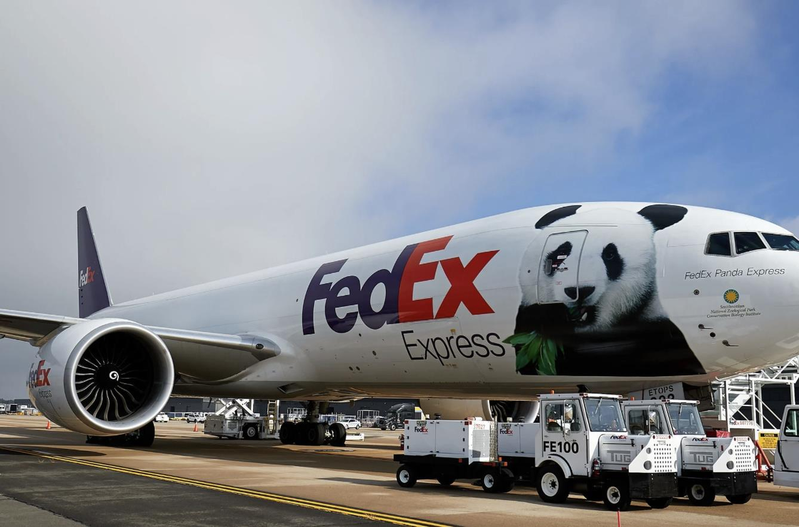 FedEx的「熊貓快線」8日載著華府的三隻大熊貓返回中國。（FedEx提供）