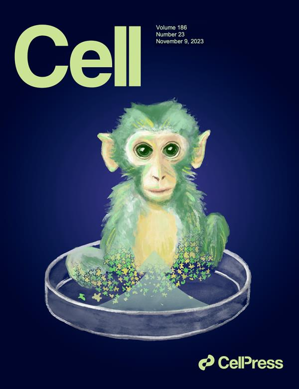 胚胎幹細胞嵌合體猴卡通寓意圖，被選為Cell雜誌的封面。(取材自觀察者網)
