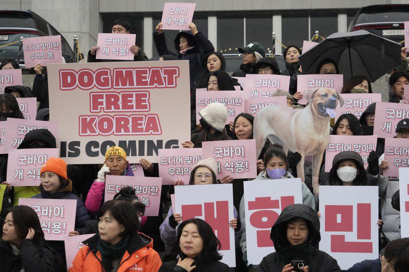 韓國動物權利活動人士9日在首爾集會，支持政府主導的狗肉禁令法案，公眾要求禁止的呼聲也急劇上升。（美聯社）